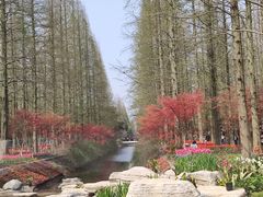 -东平国家森林公园