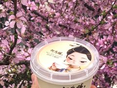 -大鸭梨烤鸭(望京店)