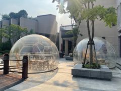 -上海崇明金茂凯悦酒店