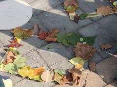 -北京市海淀区锦绣明天莲宝幼儿园