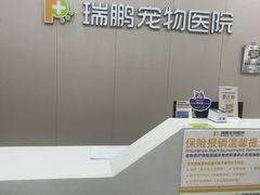 -瑞鹏宠物医院·骨外科·心肾科·肿瘤科(九亭店)