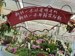 -上海鲜花港