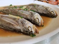 小黄鱼-温岭人家(红花北路店)