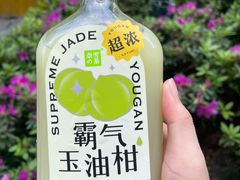 -奈雪的茶(新天地广场PRO店)