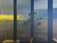 -MEDISN·药厂