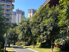 -碧桂园润杨溪谷温泉酒店