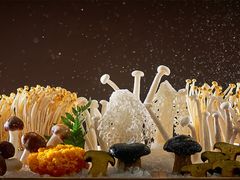 菌类组合-王家渡火锅店(棕榈泉店)