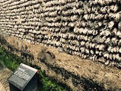 -小洲村
