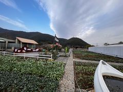 -宁波九龙湖开元度假村