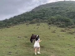 -大姆山草场