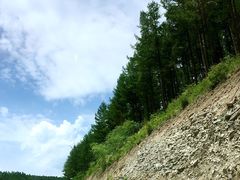 -塞罕坝国家级自然保护区