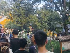 -灵隐飞来峰景区