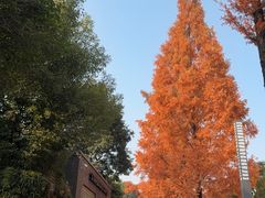 -星巴克(成都天府水街店)