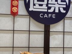 -逗柴咖啡屋·狗咖猫咖宠物桌游