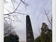 -上海佘山国家森林公园天马山园