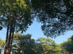 -绮园景区