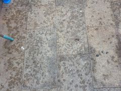 -贝壳王国博物馆