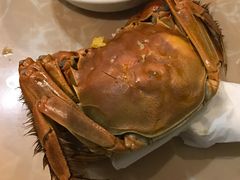 -海大大蒸汽海鲜餐厅·粤菜·特色小炒(欢乐颂店)