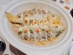 -红城阁·上海味道(四平路店)
