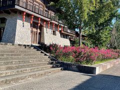 -大唐贡茶院