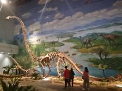 -自贡恐龙博物馆