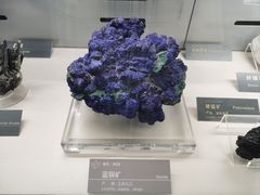-中国地质博物馆