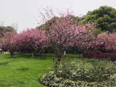 -荆川公园