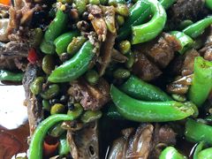 -代木儿回锅肉