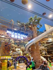 -卡通尼·Safari非洲探索乐园·生日会(金桥国际商业广场店)