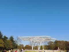 -滨江公园-停车场