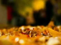 -辽东学院(南校区)