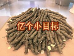 -呼和浩特博物馆