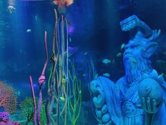 -沈阳海洋探索中心