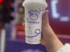 -一只酸奶牛(八一路店)