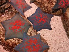 -沈阳海洋探索中心