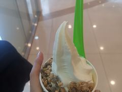 -Salud撒露欧洲冻酸奶(蓝色港湾店)