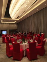 -中谷小南国花园酒店·宴会厅