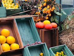 -中国天府农业博览园