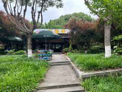 -桐乡植物园