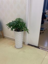 -海峡医疗美容医院