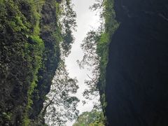 -峨眉山风景名胜区
