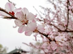 -河北省园博园