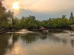 -溱湖国家湿地公园