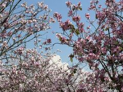 -广西师范大学(育才校区)