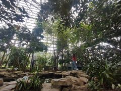 -南山植物园