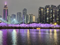 -西北湖绿化广场