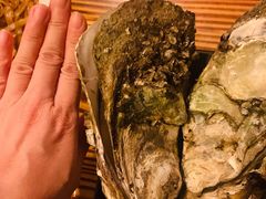 原味烧蚝-土蚝·高压锅生蚝(百姓美食街店)