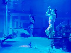 -成都浩海立方海洋公园