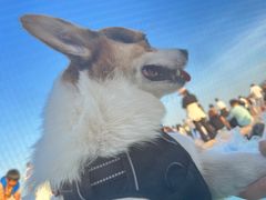 -彤德莱(青岛人民路店)