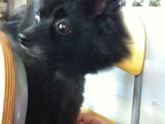 iphone_upload_pic-A+摄影